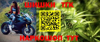 ешки Кингисепп