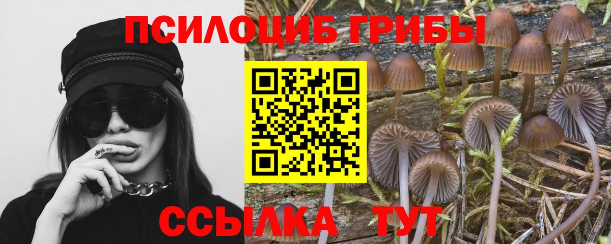 Галлюциногенные грибы GOLDEN TEACHER Кубинка