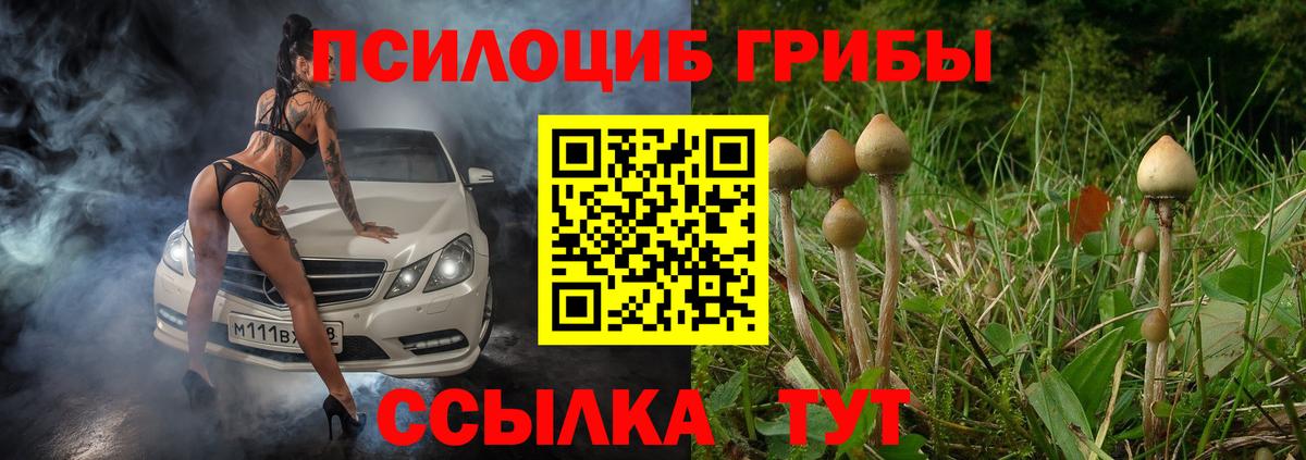 Кубинка  Галлюциногенные грибы Cubensis  купить   Вход с VPN 